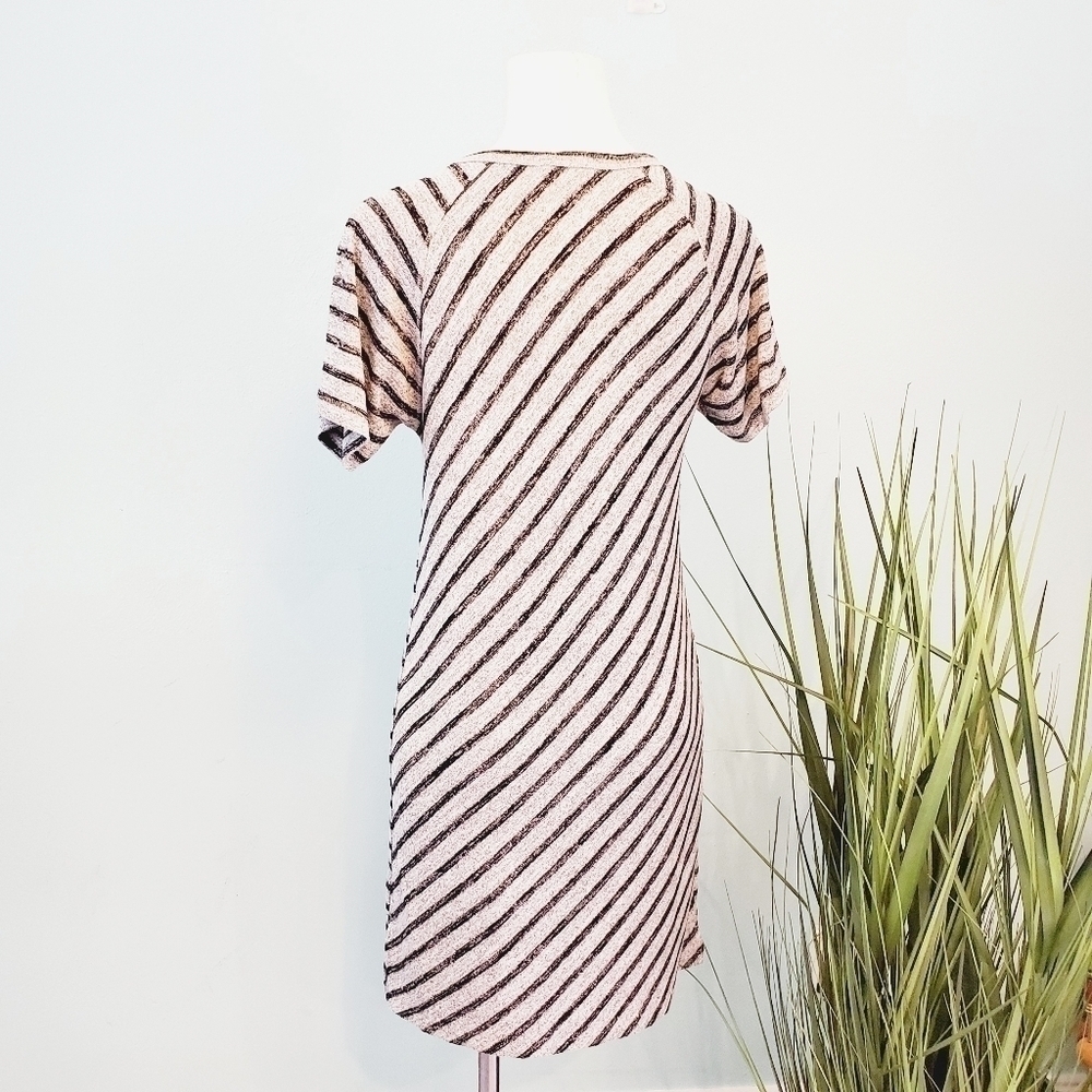 š
ŗRAG & Bone Raglan Striped Shirt Dress - Picture 5 of 8